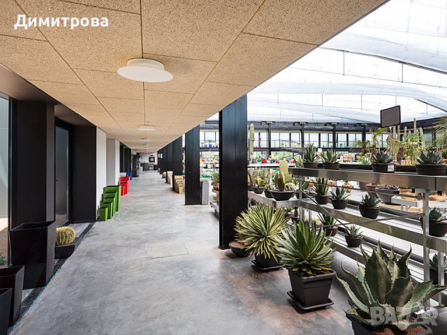 Акустично пано за окачен таван Heradesign Fine Natur 15