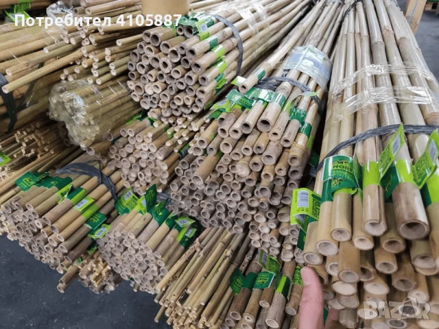 Бамбукови Колчета за Укрепване на Домати - Естествени и Здрави, снимка 2 - Други - 50845857