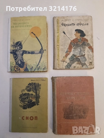 Верни синове народни. Партизански спомени - Митко Яворски