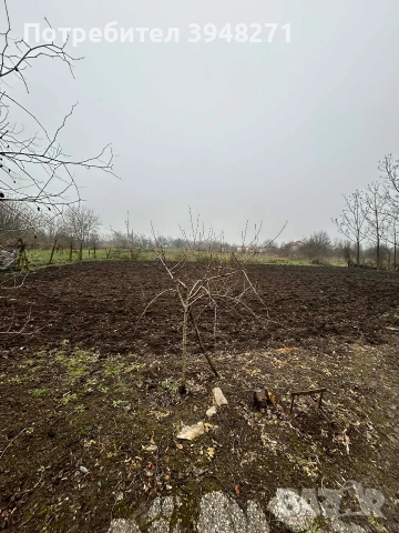 къща с дворно място и гараж, в с. Ковач, снимка 11 - Къщи - 53194251