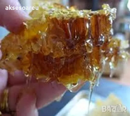 400 висококачествени семена от медоносното дърво на пчеларя Еводия Даниели и разсад дръвчета Euodia , снимка 9 - Сортови семена и луковици - 49008191