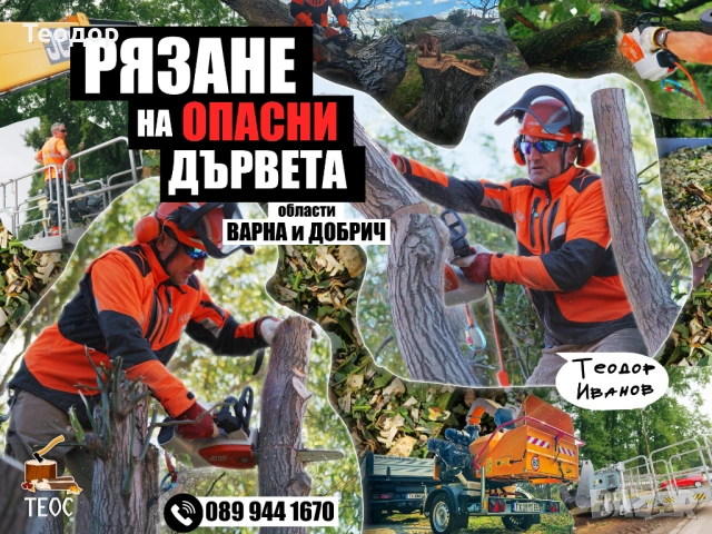 Събаряне на опасни дървета, мулчиране и дробене на клони – Варна