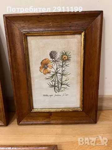 Комплект антикварни картини, 5бр., снимка 4 - Картини - 47292474