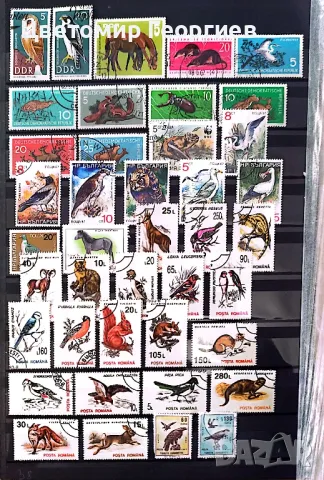 Животни 158бр.марки К.1