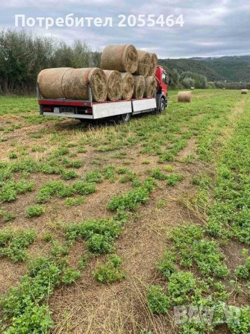 Транспорт камион с кран и услуги с кран. кошница за хора, вишка., снимка 5 - Транспортни услуги - 41792288