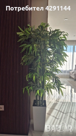 Изкуствено растение бамбук, снимка 2 - Изкуствени цветя - 53581023