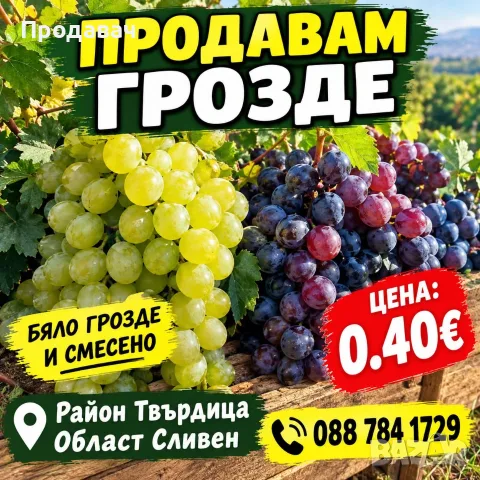 Продавам грозде за вино и ракия район Твърдица