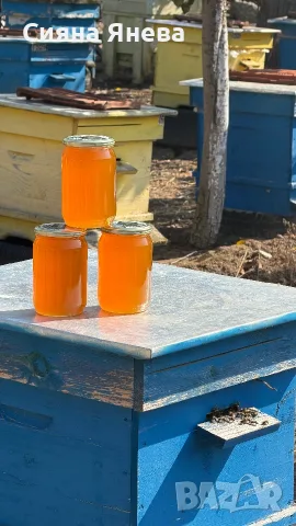 Чист Пчелен Мед, снимка 9 - Пчелни продукти - 55799544