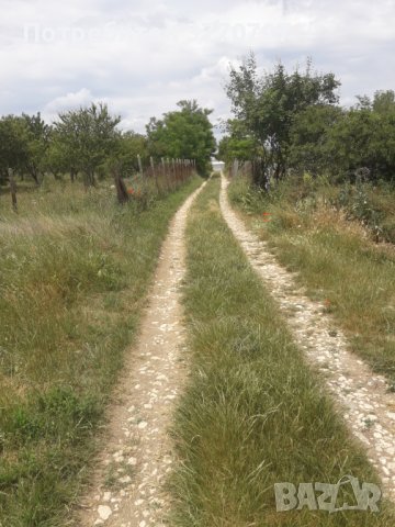 Супер атрактивна земя село Яребичнa 3 430kв м, снимка 3 - Земеделска земя - 41573906