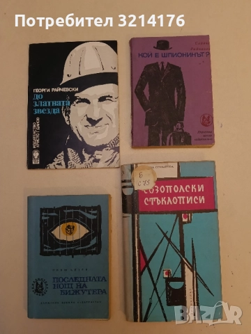 Созополски стъклописи. Размисли, портрети и скици - Невена Стефанова