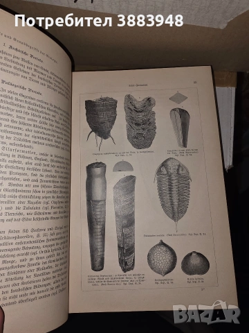 История на Земята Erdgeschichte от Мелхиор Ноймайер 1895, снимка 10 - Енциклопедии, справочници - 53442309