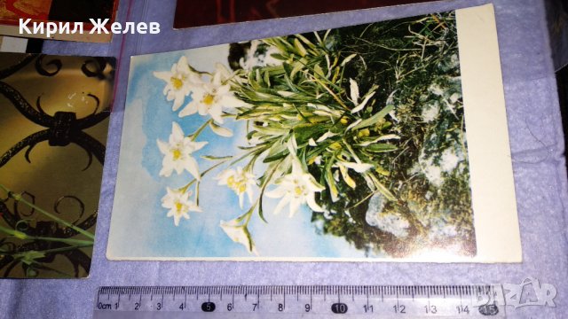 ЛОТ 4 Стари Пощенски Картички България Германия ИКОНА ЦВЕТЯ КРАСИВИ за КОЛЕКЦИЯ 32287, снимка 2 - Филателия - 38620232