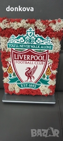 декорации от жив скандинавски мъх 