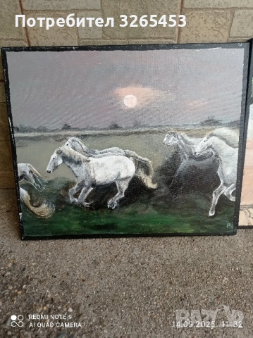 картини платно, снимка 7 - Картини - 51710672