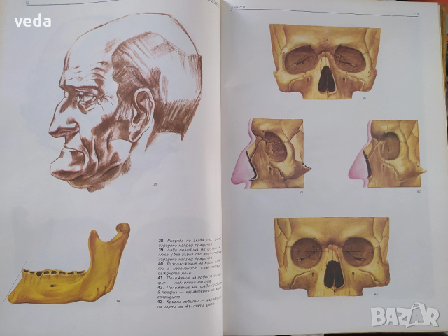 АТЛАС Глава, авт. Христо Кирчев, ИЗД. 1985 Г., снимка 3 - Специализирана литература - 53163984