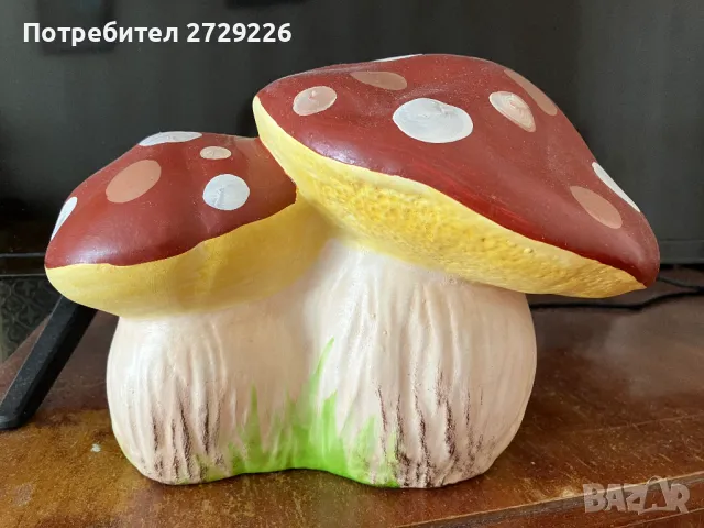 декоративни гъби