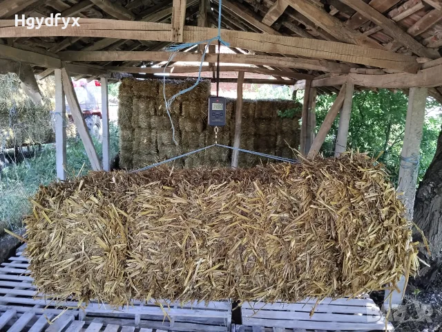 Балли Слама....., снимка 2 - За селскостопански - 55963583