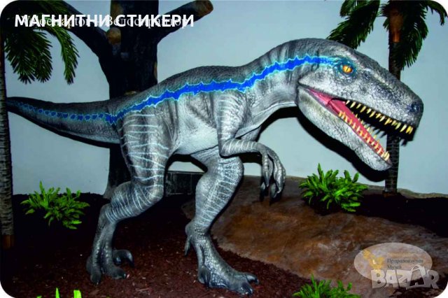 Магнитни стикери по индивидуални поръчки минимална бройка 1000 , снимка 7 - Празнични оферти - 39718681