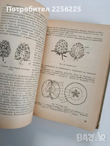 Овощарство 1959г, снимка 10 - Специализирана литература - 56270346