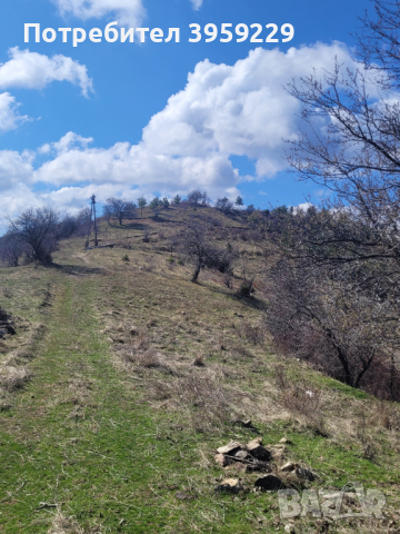Земеделска земя в село Три Могили област Пловдив, снимка 4 - Земеделска земя - 43920328
