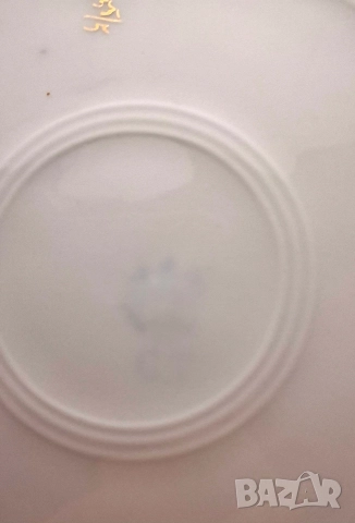 Старо порцеланово плато - Carl Tielsch, над 100-годишно, снимка 7 - Други ценни предмети - 52564094