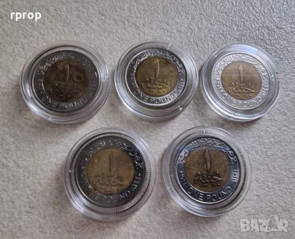 Монети. Египет. 1 паунд . 5 различни монети. По трудни за намиране., снимка 7 - Нумизматика и бонистика - 40911707