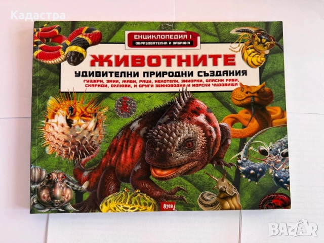 Комплект от 8 детски енциклопедии и занимателни книги , снимка 4 - Детски книжки - 56008492