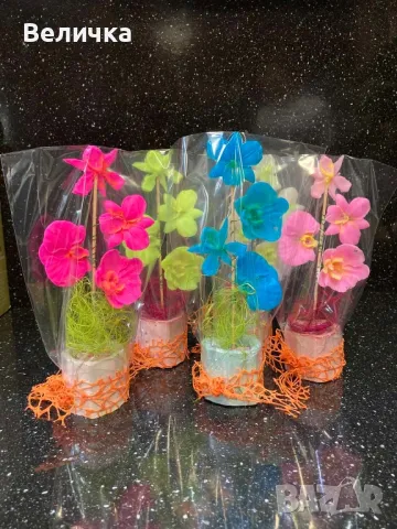 сапунени Орхидеи. 