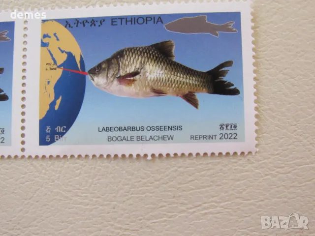 Марки Риби, 5 броя, Етиопия, минт, 2022, снимка 3 - Филателия - 48550647