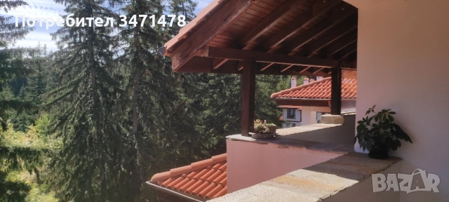 Нощувки студио Яна Смолян , снимка 13 - Квартири, нощувки - 37749251