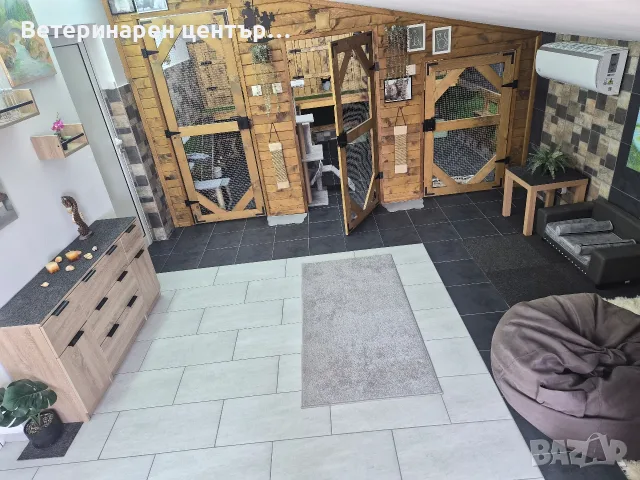 Хотел за котки Уговет , снимка 18 - Ветеринари и услуги - 49763338