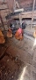 Продавам кокошки , снимка 6