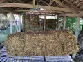 Балли Слама....., снимка 2