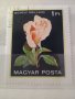 Красива  колекция Унгарски пощенски  марки  с  цветя, снимка 3