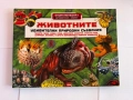 Комплект от 8 детски енциклопедии и занимателни книги , снимка 4