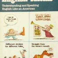 101 American English Idioms Harry Collins, снимка 1 - Чуждоезиково обучение, речници - 36107884