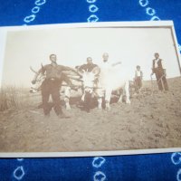 Стара картичка-снимка Бояна 1928г., снимка 1 - Други ценни предмети - 34793348
