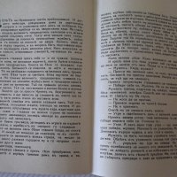 Книга "Ирникъ - П. Карапетровъ" - 112 стр., снимка 5 - Художествена литература - 41497926