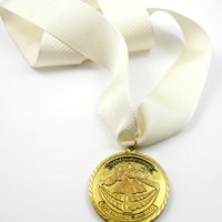 Египет-Египетска федерация по бокс-Награден медал, снимка 5 - Бокс - 42652441
