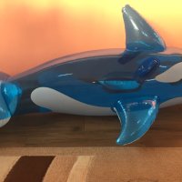 Делфин за море, снимка 2 - Почивки на море - 41676168