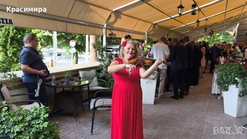 Певица, свиреща на цигулка, мандолина, пиано, ксилофон за вашето коледно парти , снимка 1