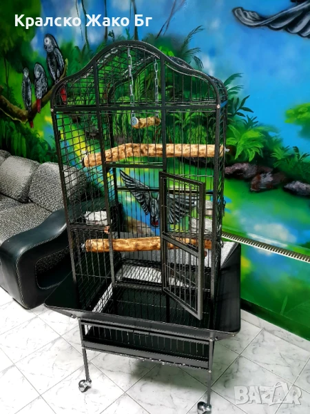 Волиера за папагали Жако !, снимка 1