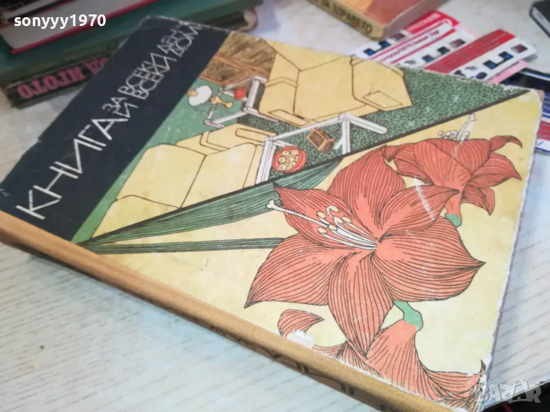 КНИГА ЗА ВСЕКИ ДЕН ДОМ-ДЕБЕЛА СТАРА 3112241650, снимка 1