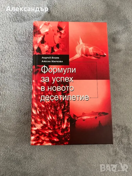 Формули за успеха в новото десетилетие книга, снимка 1