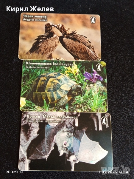 Три фонокарти МОБИКА тема ЖИВОТНИ ЛЕШОЯД, КОСТЕНУРКА, ПРИЛЕП 26915, снимка 1