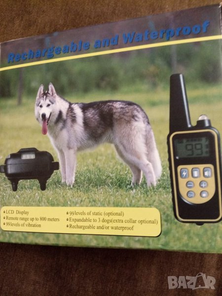 Обучаваща каишка за куче, снимка 1