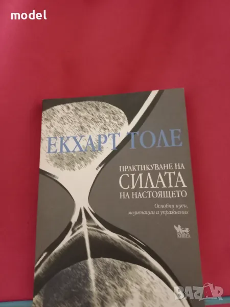 Практикуване на силата на настоящето - Екхарт Толе, снимка 1