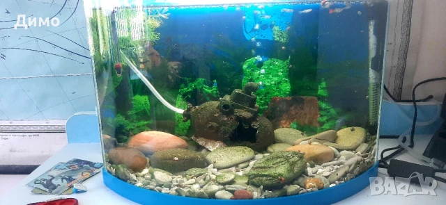 Аквариум оборудван