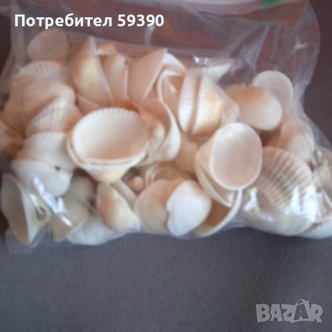 Черноморски мидени черупки , снимка 3 - Други - 41493018