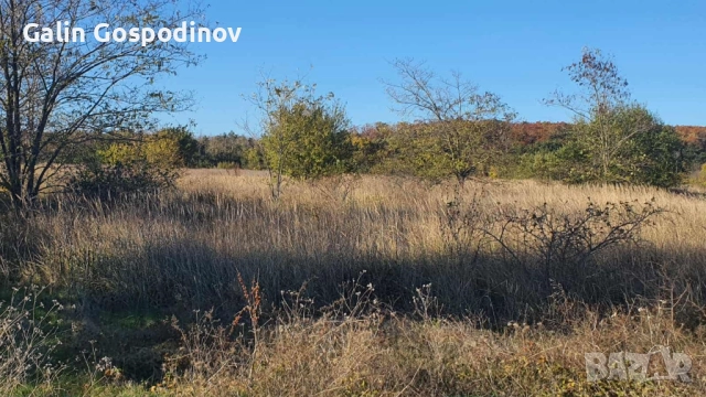 Нива 1 дка с. Горун на 200м от международен път Варна - Дуранкулак., снимка 2 - Земеделска земя - 52297804